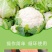 散花套袋防晒防虫防冻松花西兰花菜套袋套菜花的袋子散花套袋