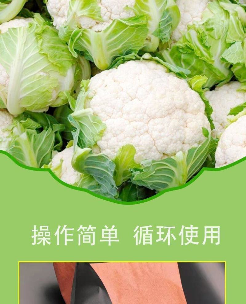 散花套袋防晒防虫防冻松花西兰花菜套袋套菜花的袋子散花套袋