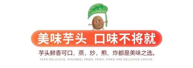 包邮）正宗新鲜荔浦大芋头广西特产粉糯农家现挖槟榔香芋泥