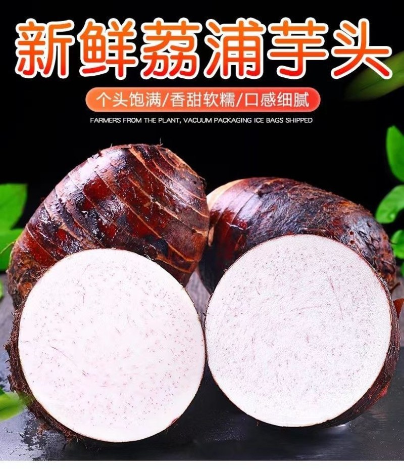包邮）正宗新鲜荔浦大芋头广西特产粉糯农家现挖槟榔香芋泥