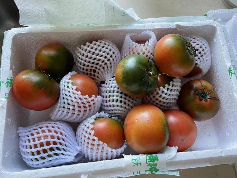 【精品】草莓柿子铁皮柿子碱地柿子水果柿子基地直发