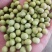 毛豆种子极早熟50天高产青豆菜种子春季蔬菜种子特早王菜豆