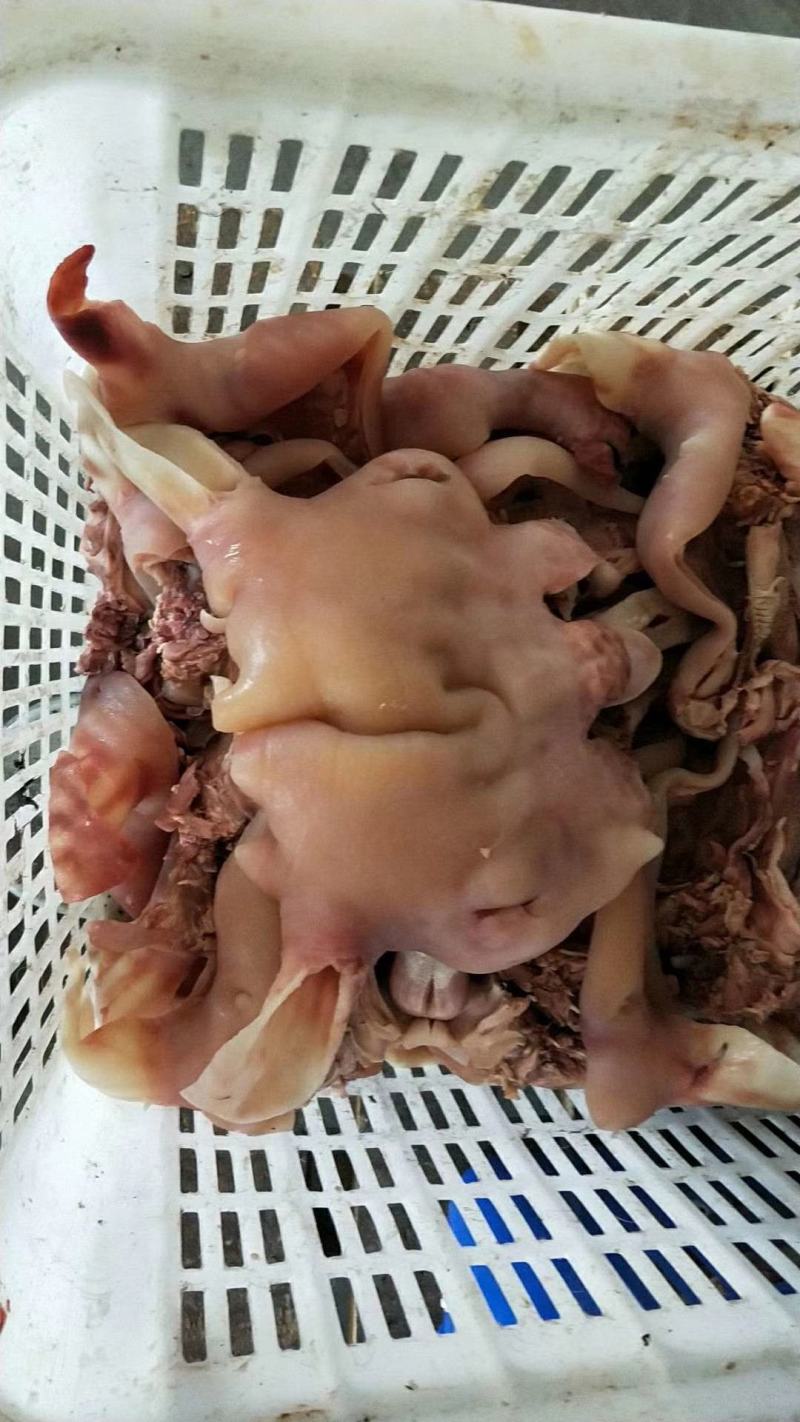 全熟去骨大白头