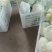 精品白面青梗有机花菜大量上市，望各位新老客户联系