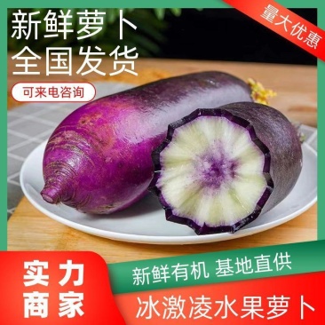 一件代发冰激凌萝卜水果萝卜脆甜不辣正宗三色冰糖心萝卜