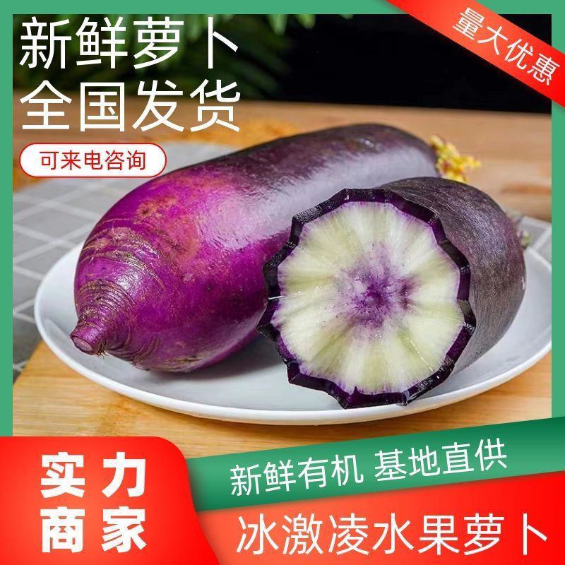一件代发冰激凌萝卜水果萝卜脆甜不辣正宗三色冰糖心萝卜