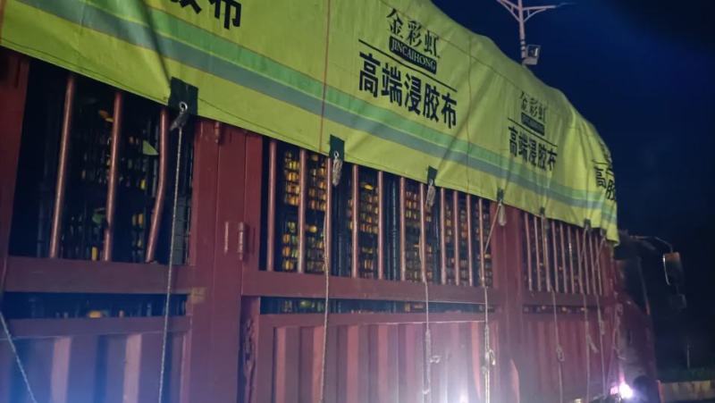广西桂林市南丰蜜桔，沙糖桔，棉桔，大量上市，供应各种规格