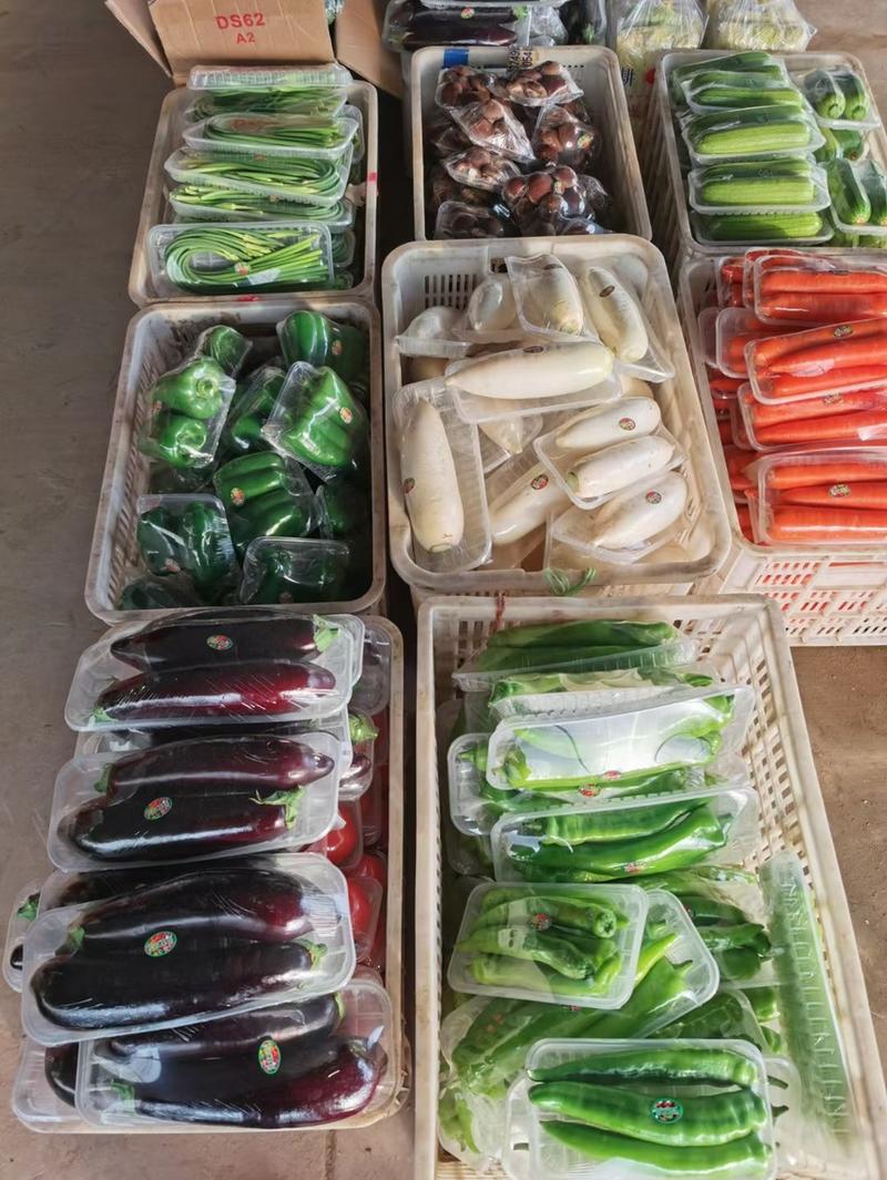 河北精品礼品菜，蔬菜礼包，8到20个品种，专业生产