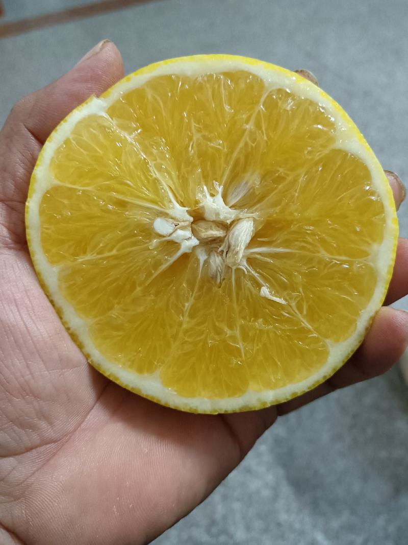 葡萄柚（爆汁，够甜。产地代办，对接电商平台，批发商，）