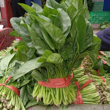 波菜，产地一手货源，质量保证，欢迎进店联系
