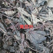 青苏叶，本地传统特色农副产品，片叶，无杂质。