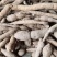 纯野生牛大力野生黄牛鲜牛新鲜现挖干货砍片干个