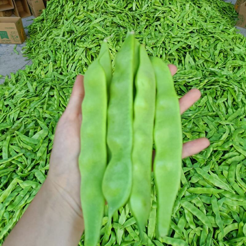 东北一点红油豆角专业一件代发，质量高价格优惠，量大从优