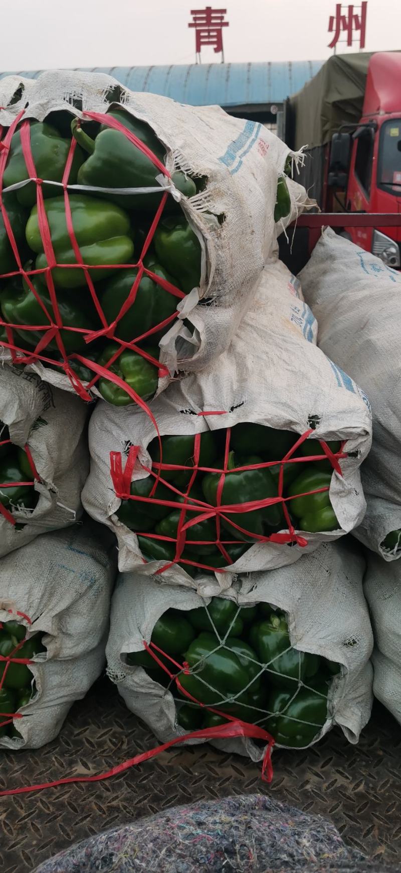 代办代发蔬菜茄子尖椒圆椒陇椒线椒扁豆菜花品种多量大