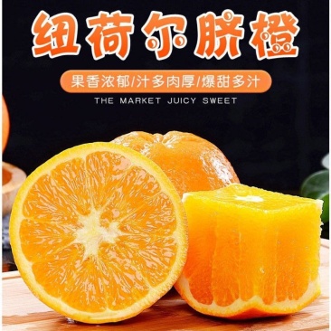 纽荷尔脐橙湖南纽荷尔脐橙大量上市产地直供个大皮薄