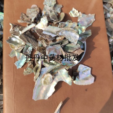 石决明，石决明颗粒。石决明大颗粒，产地一手货源，大货批发