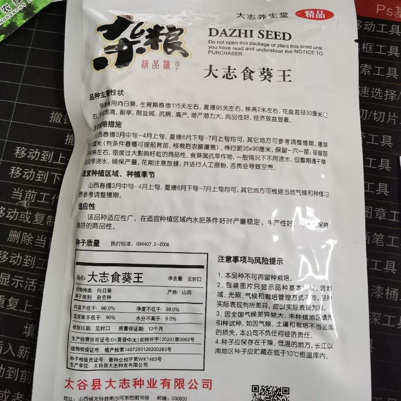 大志食葵向日葵种子观赏向日葵农家庭院阳台种植花卉种子