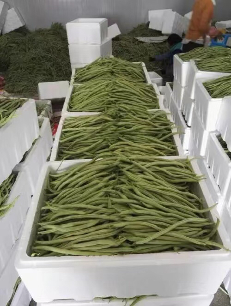 🔥优质无筋豆条形直货儿巴适支持商超拖板车