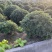 海桐球P120-150-180-200-220-250