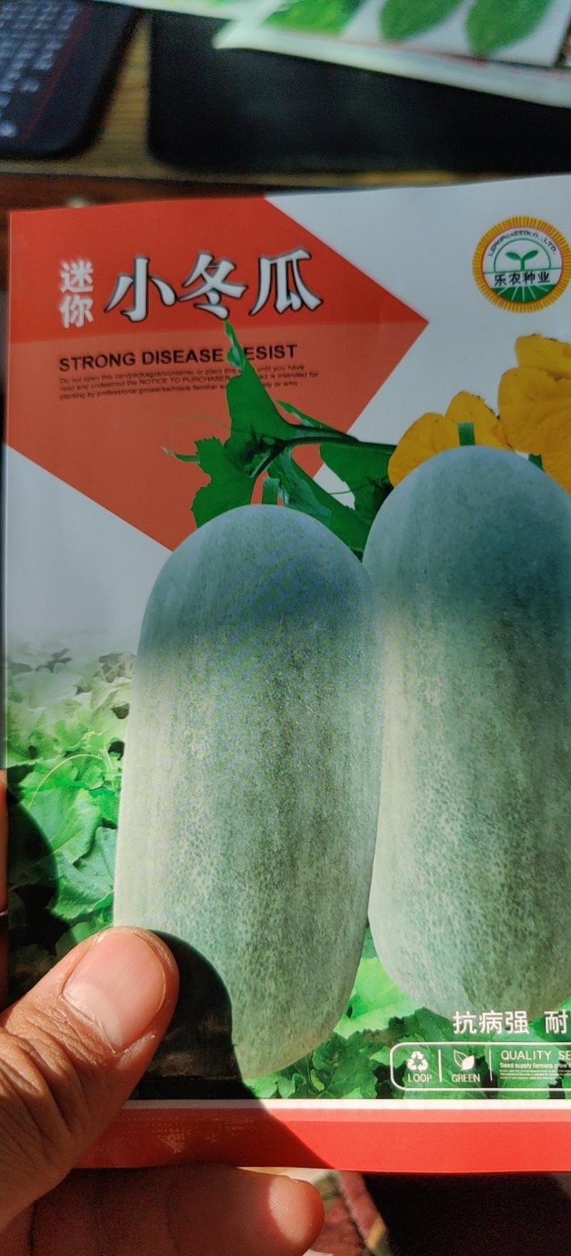 杜绝假货冬瓜种子小冬瓜种子灰白色肉厚圆筒型蔬菜种子菜籽