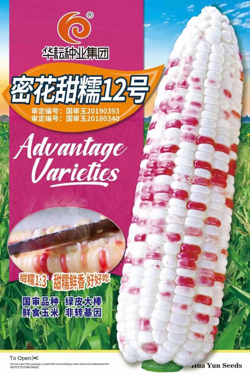 密花甜糯12号玉米种子彩甜糯国审大棒花彩糯玉米种子