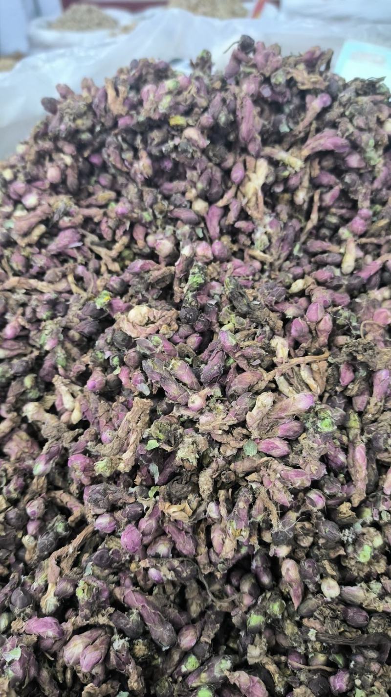款冬花冬花无硫优质新货规格齐全批发零售支持代发
