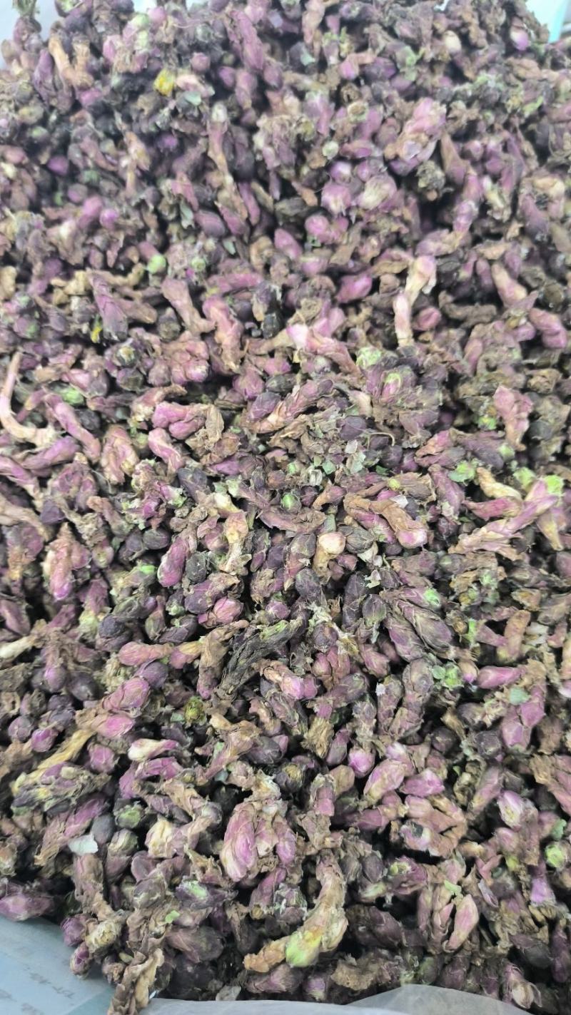 款冬花冬花无硫优质新货规格齐全批发零售支持代发