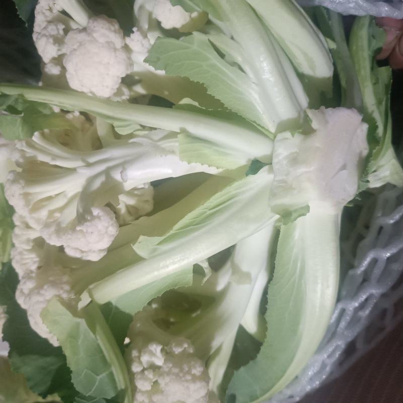 有机花