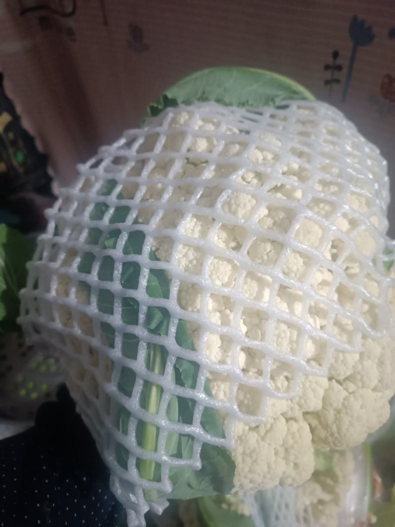 有机花