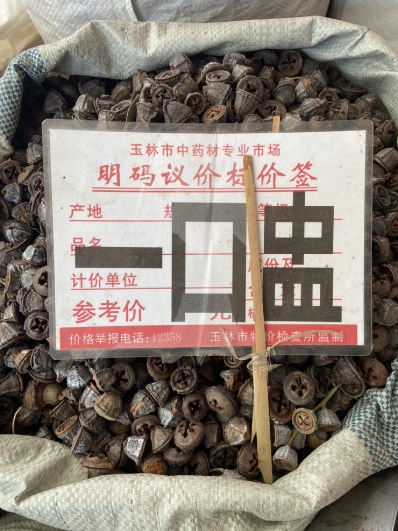 特级云南一口钟野生新货一口盅中草药材一口中无硫扣子七