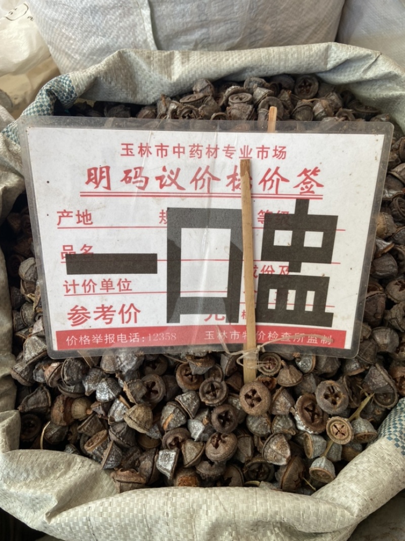 特级云南一口钟野生新货一口盅中草药材一口中无硫扣子七