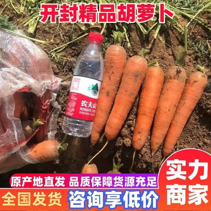 【精品】三红胡萝卜水洗货，土货，万亩基地电商货市场货