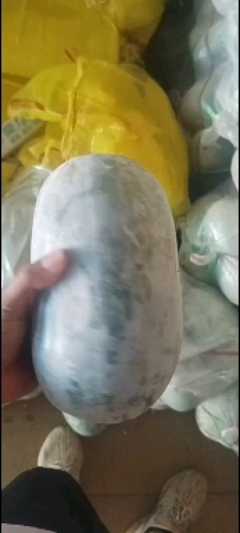 小冬瓜水果冬瓜大量上市中，个头好销量美丽，欢迎新老客户前