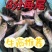 大头花鲢胖头鱼调水鱼纯种班点快大鱼苗鳙鱼苗