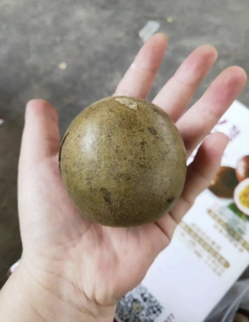 罗汉果批发一件代发量大优惠，欢迎进店选购