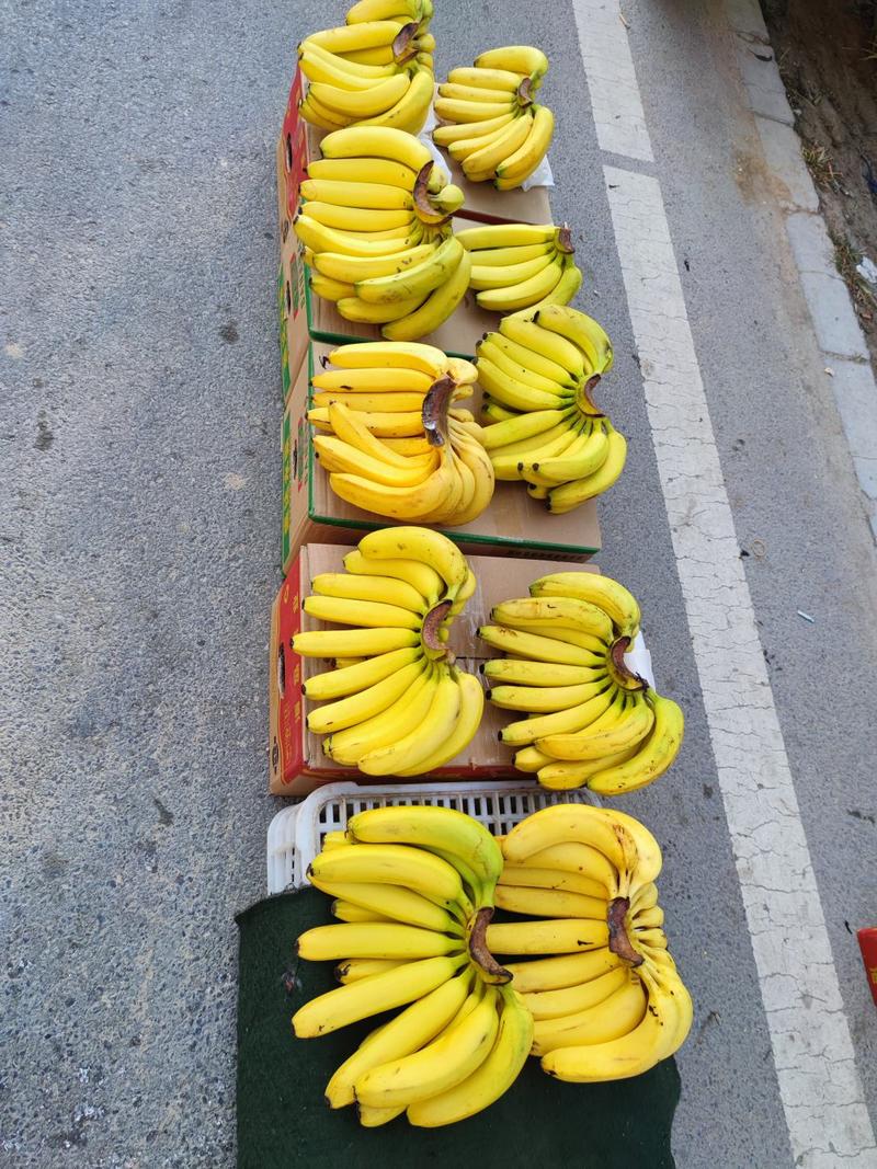 香蕉产地直发，装车中。两天后到货！有要青蕉的可联系！