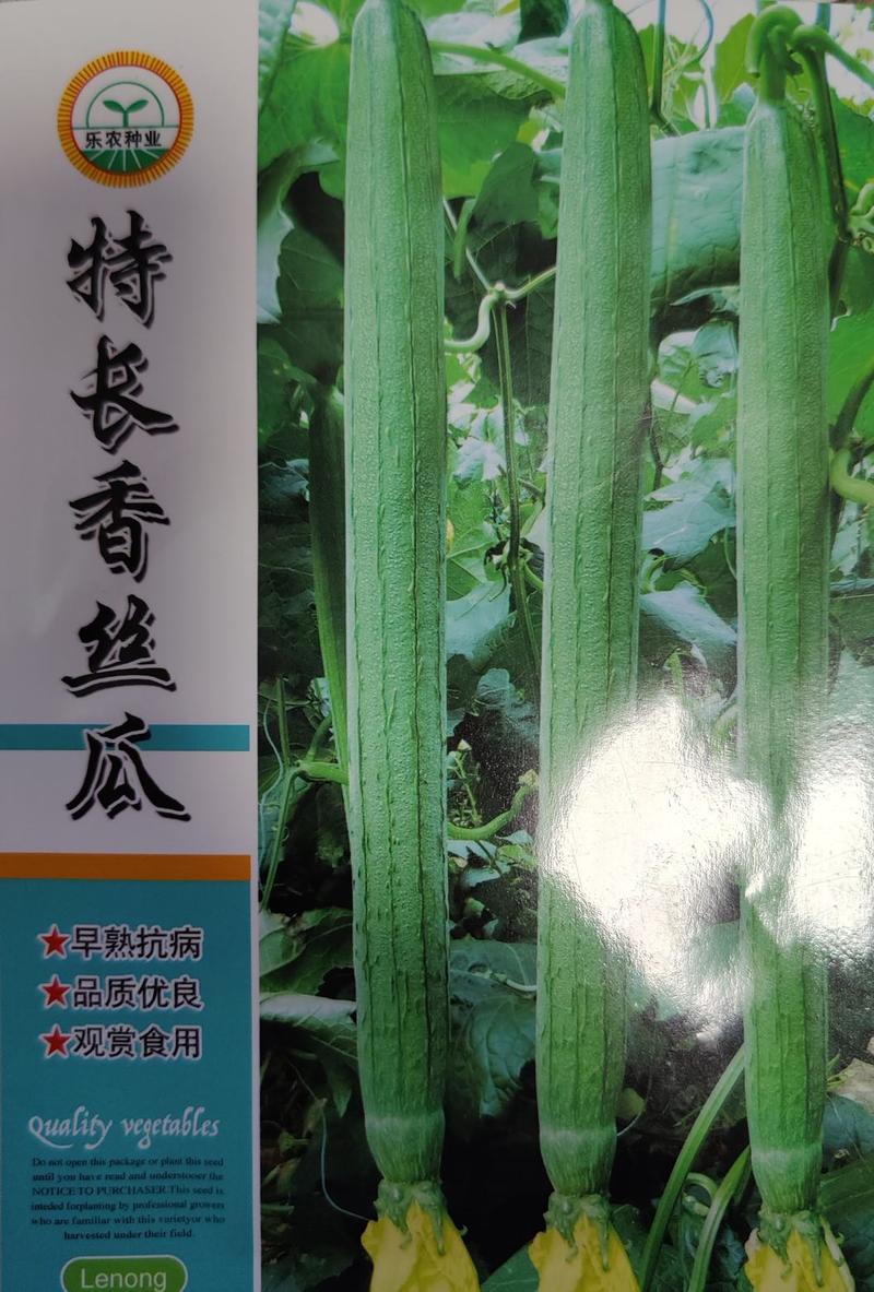 杜绝假货长丝瓜种子丝瓜籽杂交长棒形蔬菜种子菜籽庭院种植