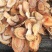 野葡萄根