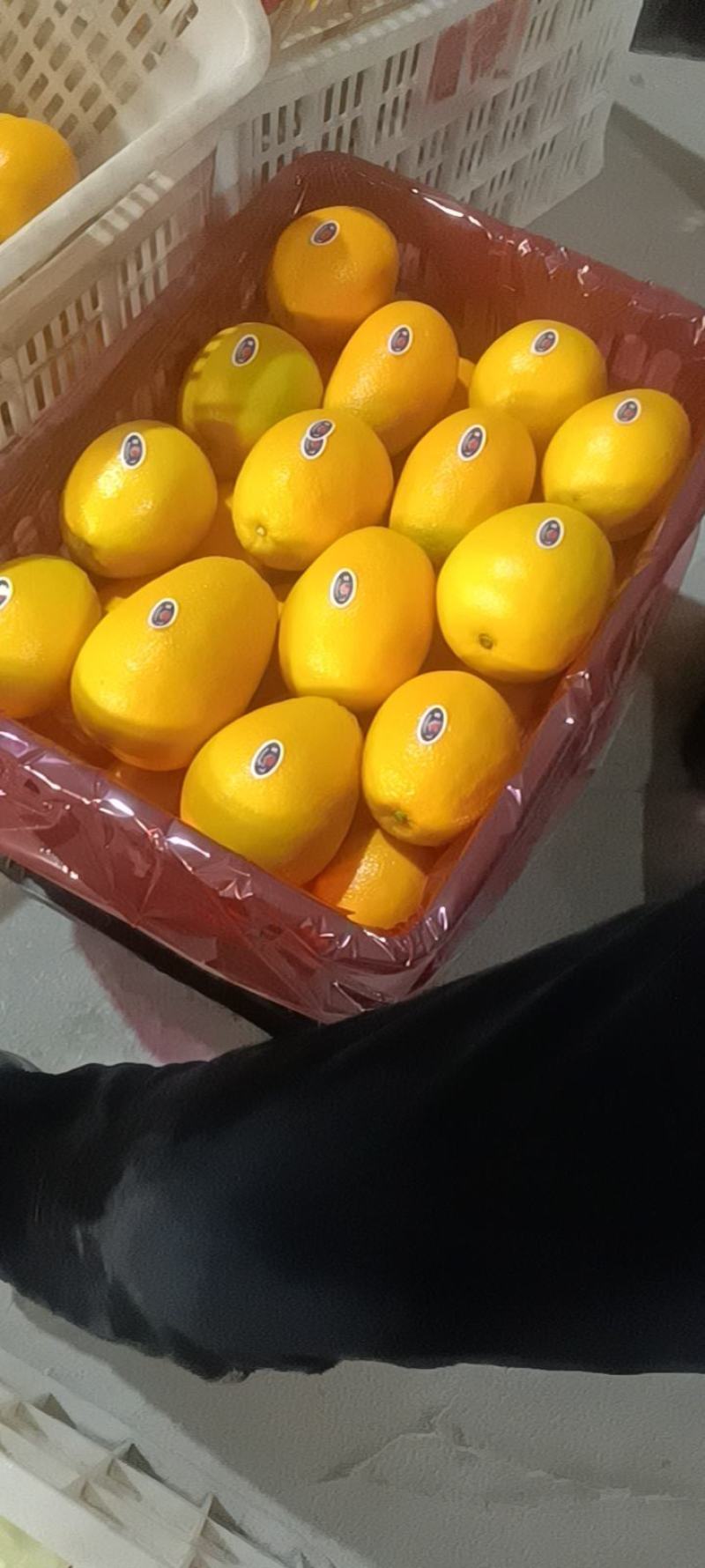 纽荷尔脐橙口感纯甜水分足对接各大商超市场电商