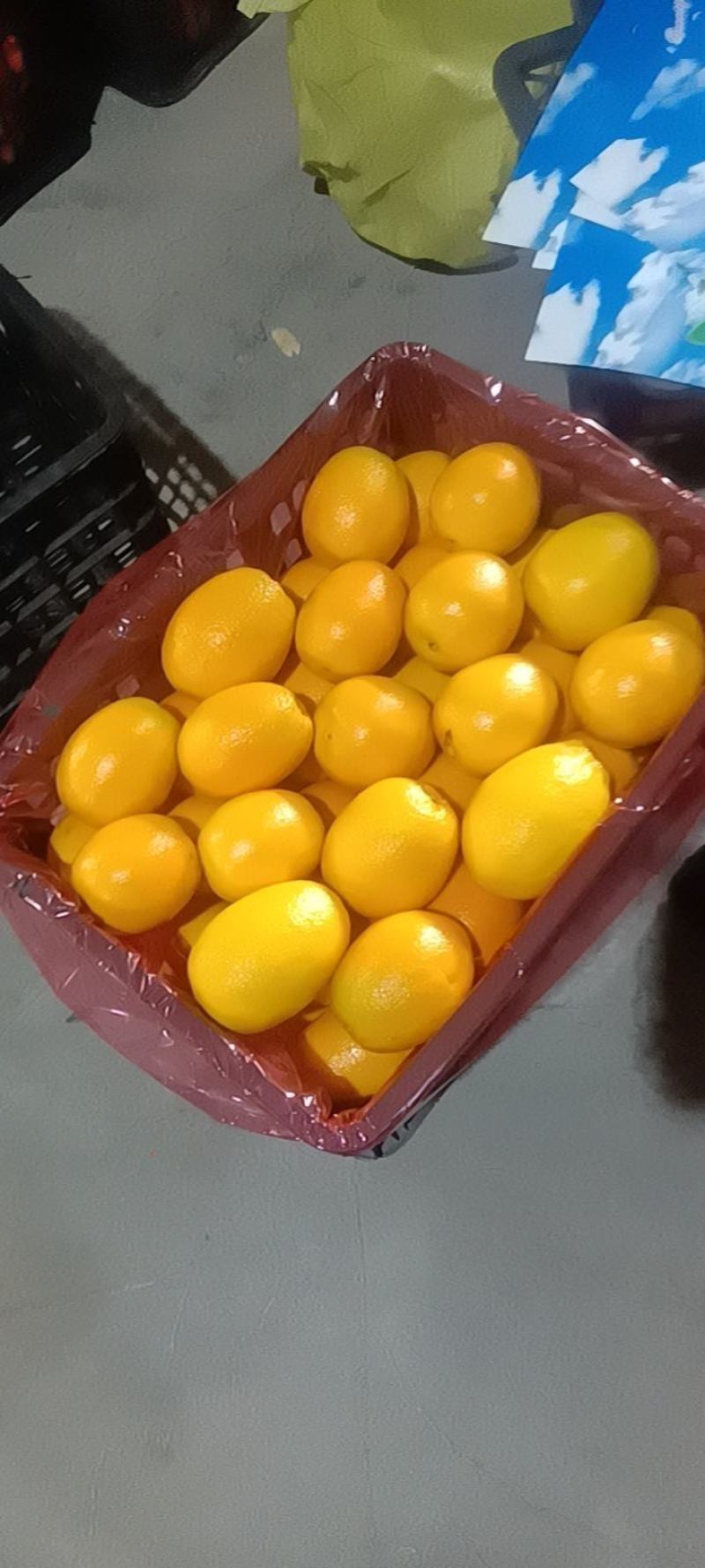纽荷尔脐橙口感纯甜水分足对接各大商超市场电商