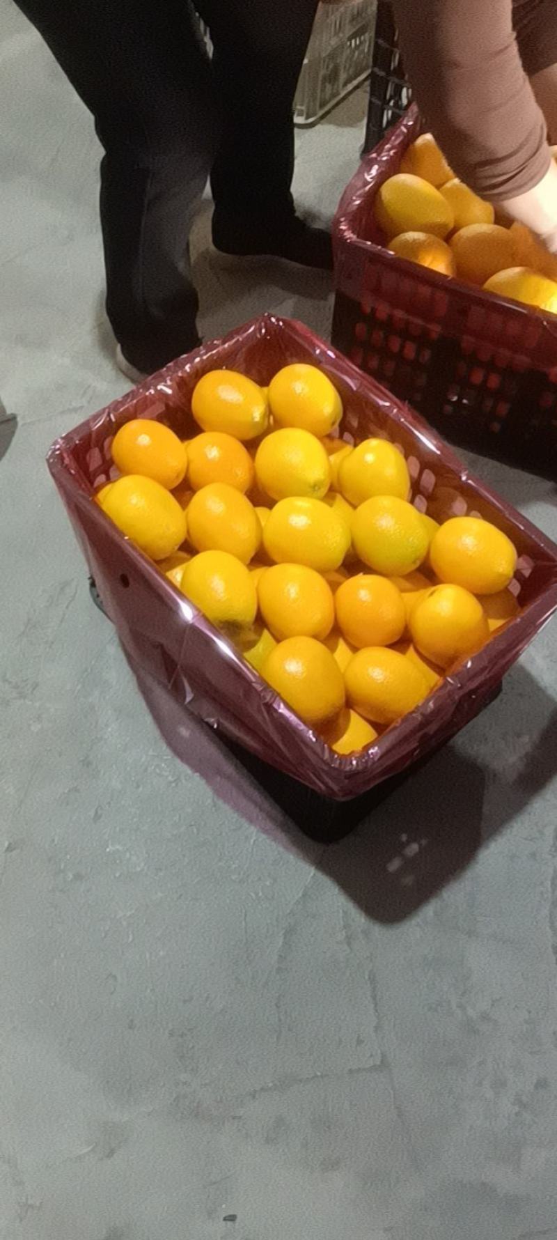 纽荷尔脐橙口感纯甜水分足对接各大商超市场电商