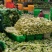 湖北娃娃菜，万亩种植基地，欢迎全国各地老板前来考察！