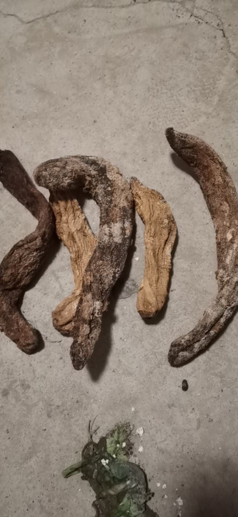 白萝卜干