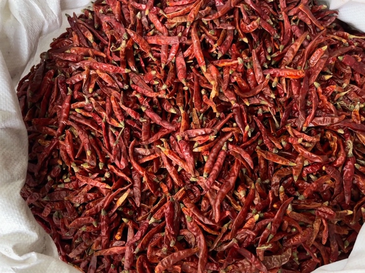 腌制鲜辣椒的原材料展示图