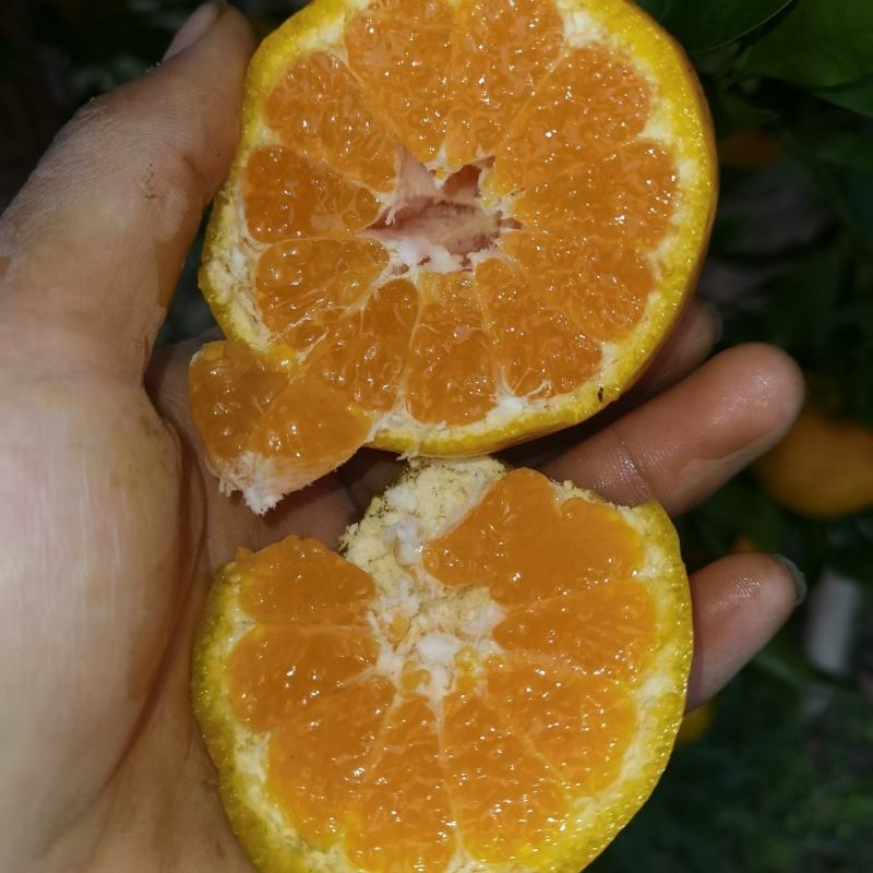 碰柑个大多汁口感好。。。