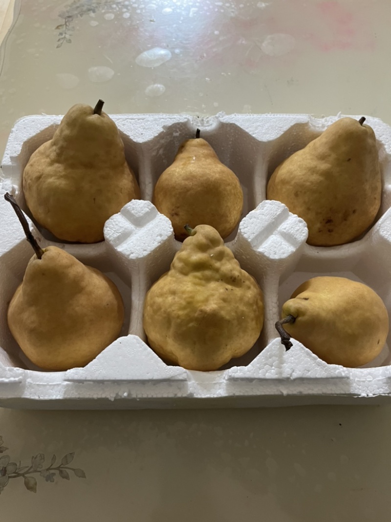 丑梨