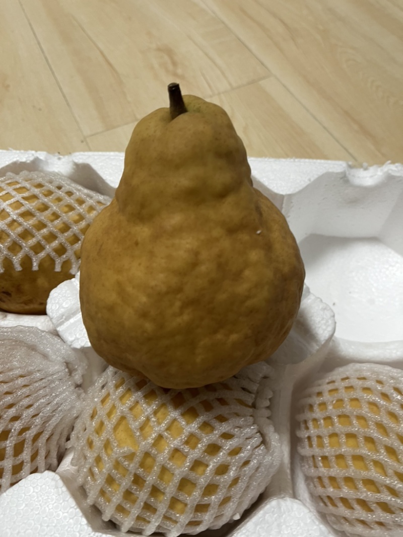 丑梨