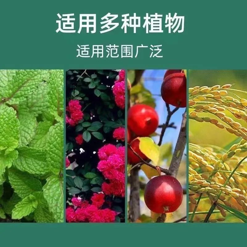 土壤活化剂花肥矿源黄腐殖酸钾枯草芽微生物菌剂土壤活化宝复