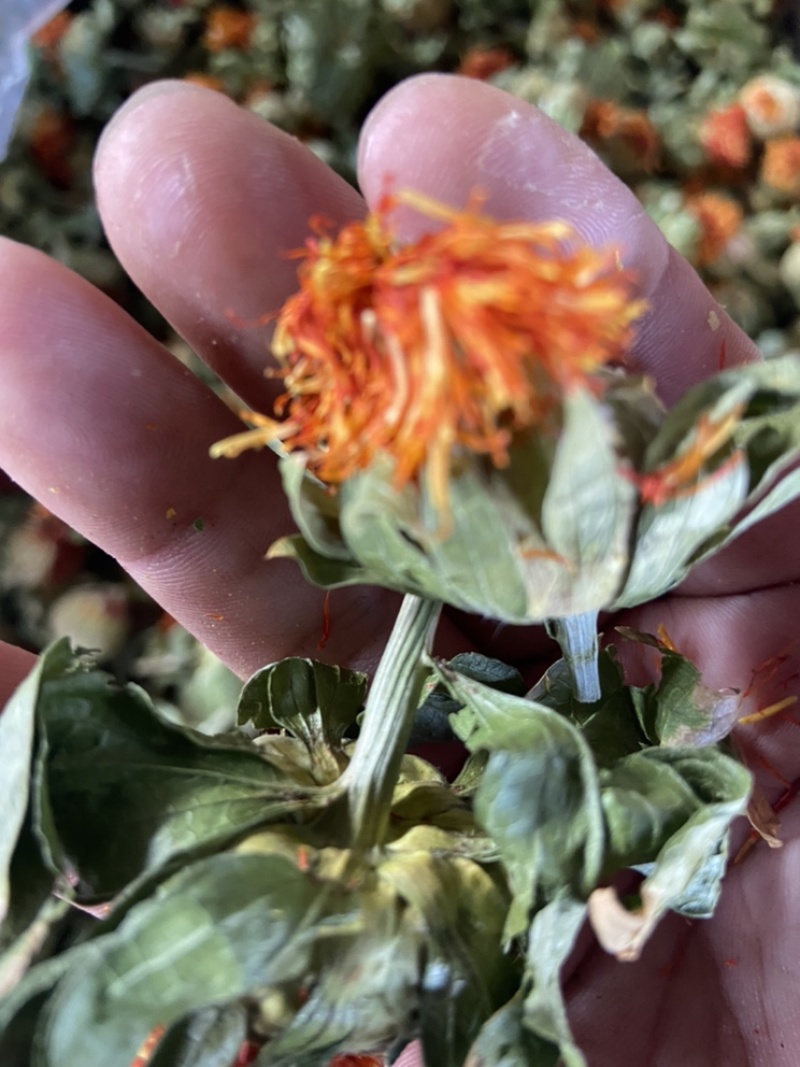 红花果整朵中药材草红花果泡水喝