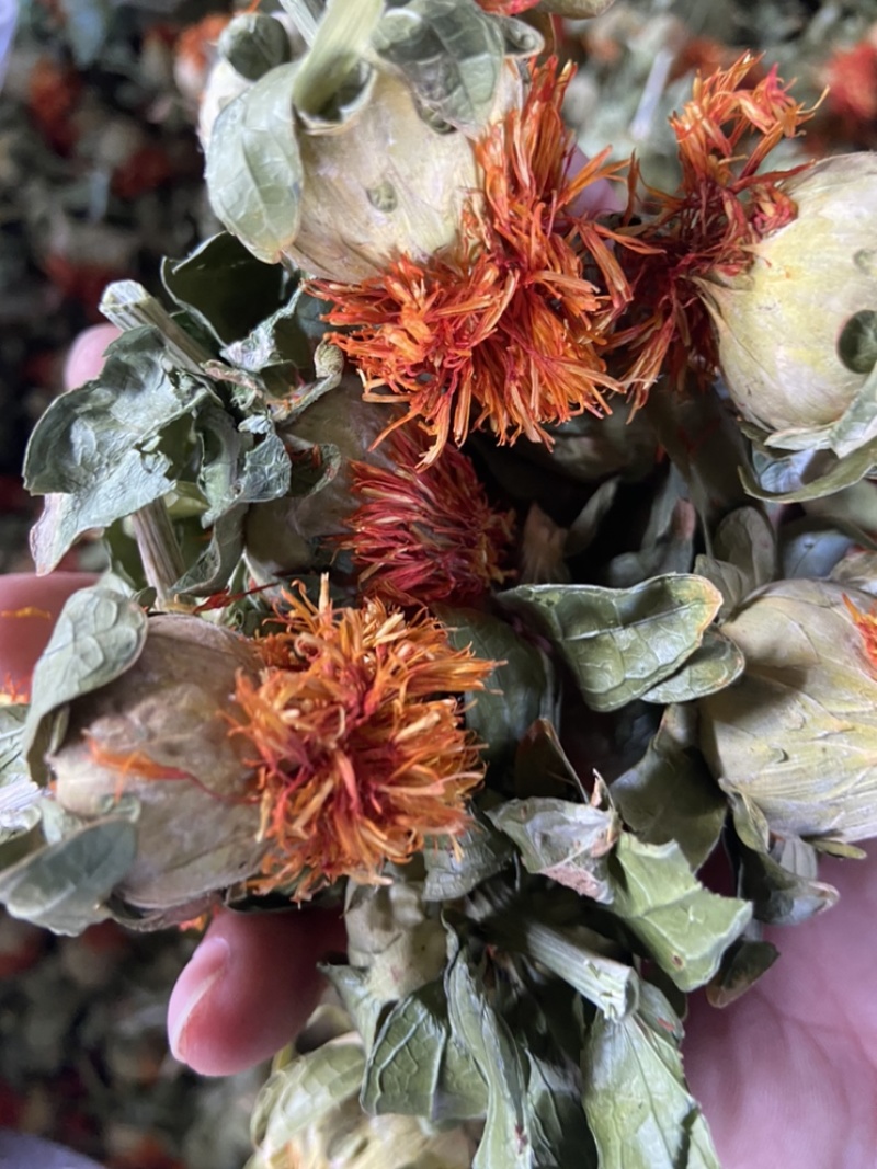 红花果整朵中药材草红花果泡水喝